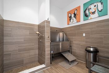 Dog washing station and shower